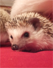 Benutzeravatar